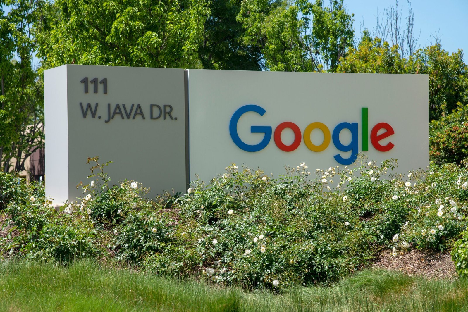 a-google-sign-in-front-of-some-bushes-and-trees-scaled-1 The Ultimate Guide to SEO: Strategies for Success in 2024