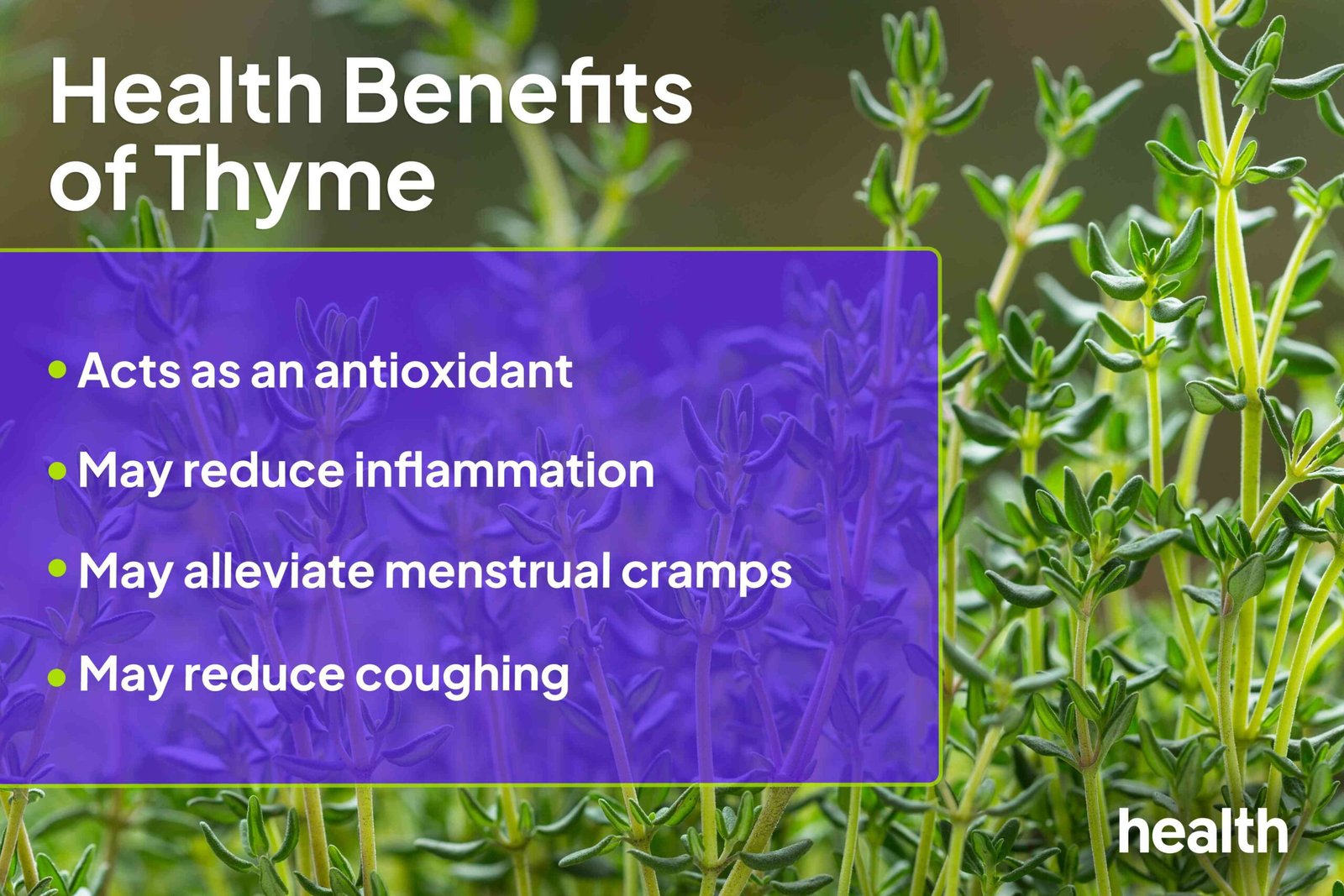 6 Health Benefits of Thyme: Benefits, Nutrition, Risks