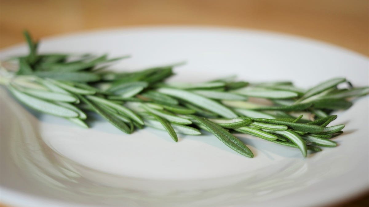 A sprig of rosemary on a white plate