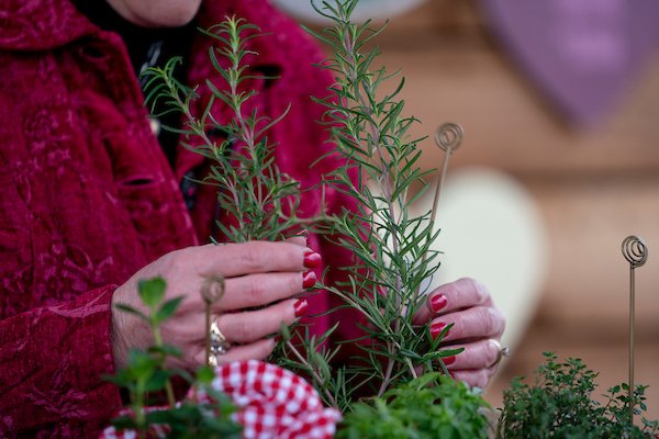 A woman handling thyme