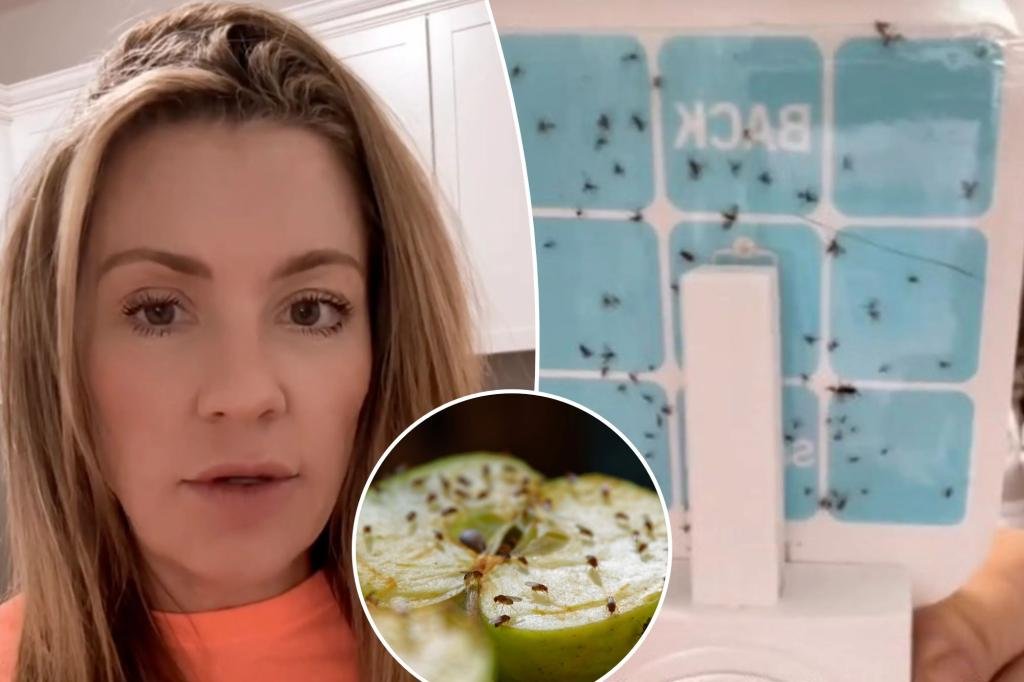 Woman horrified by fruit flies in her home—how to get rid of them