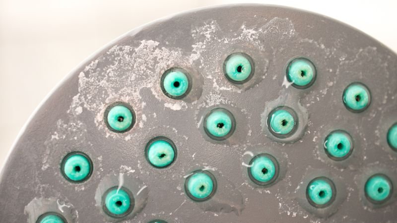 Your showerhead and toothbrush are teeming with viruses. But don’t panic – these microbes could save lives