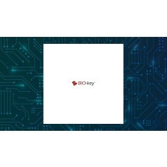 Critical Contrast: AudioEye (NASDAQ:AEYE) vs. BIO-key International (NASDAQ:BKYI)