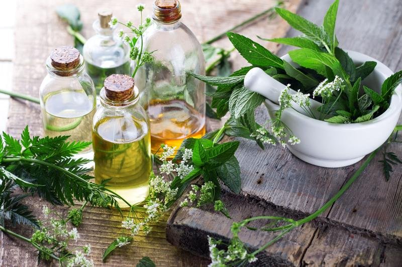 Herbal Medicine Market