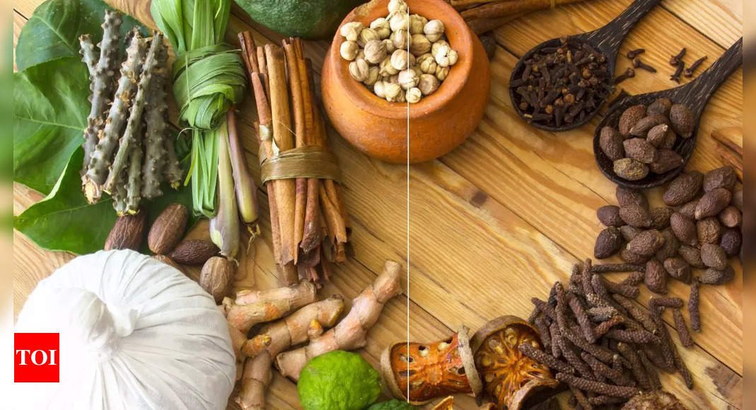 How native Indian herbs and ingredients help in the growth and development of gut microbiota