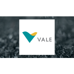Short Interest in Vale S.A. (NYSE:VALE) Increases By 24.0%