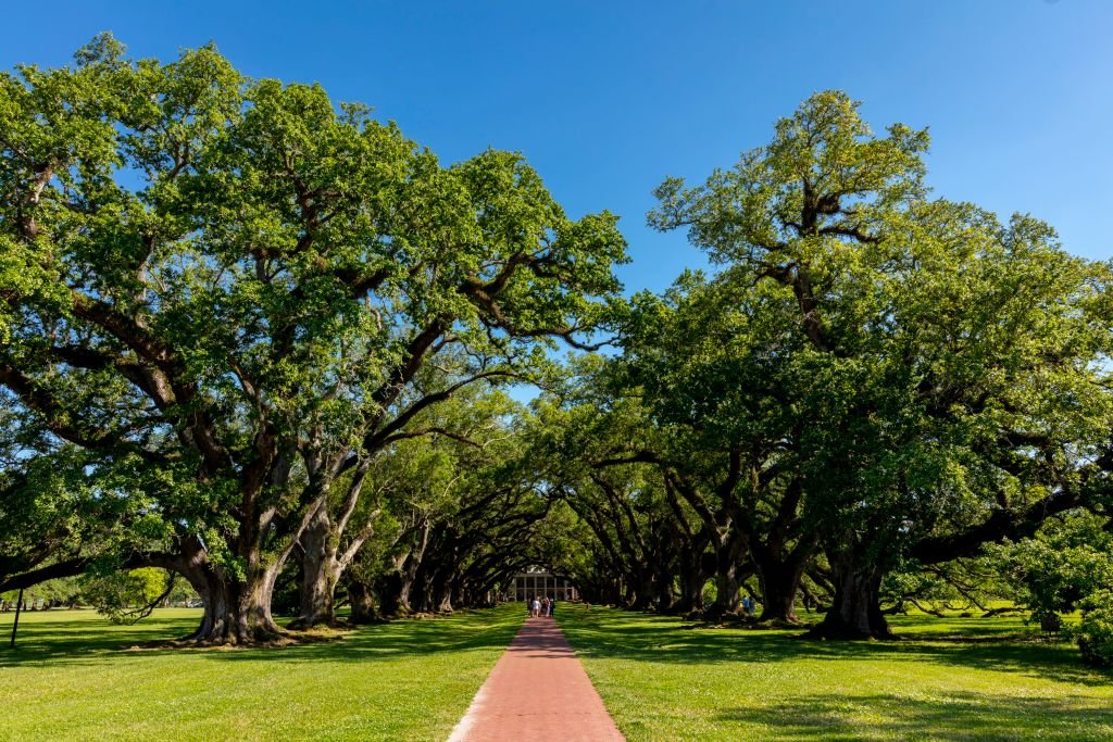 Oak Alley Plantation off Highway 18 along the Mississippi River, near Vacherie, Louisiana