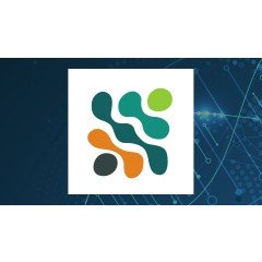 Sei Investments Co. Has $3.77 Million Position in Scholar Rock Holding Co. (NASDAQ:SRRK)